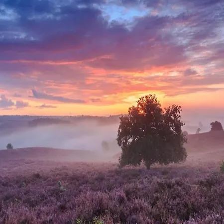 In Veluwe Near Kootwijkerzand Holiday home Putten