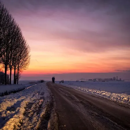 In Veluwe Near Kootwijkerzand Putten