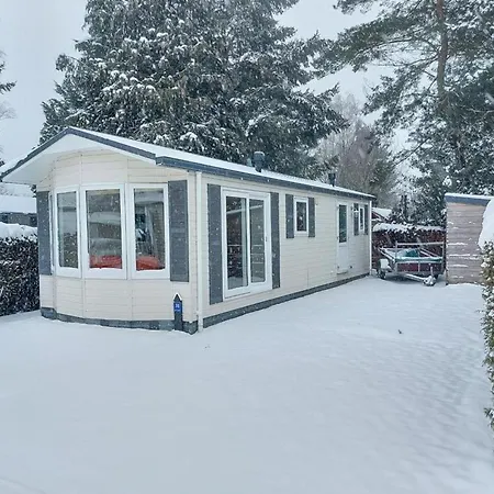 In Veluwe Near Kootwijkerzand *