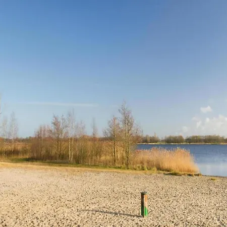 In Veluwe Near Kootwijkerzand *