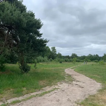 In Veluwe Near Kootwijkerzand Putten