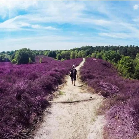 In Veluwe Near Kootwijkerzand Holiday home Putten