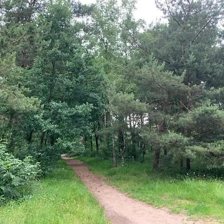 Holiday home In Veluwe Near Kootwijkerzand